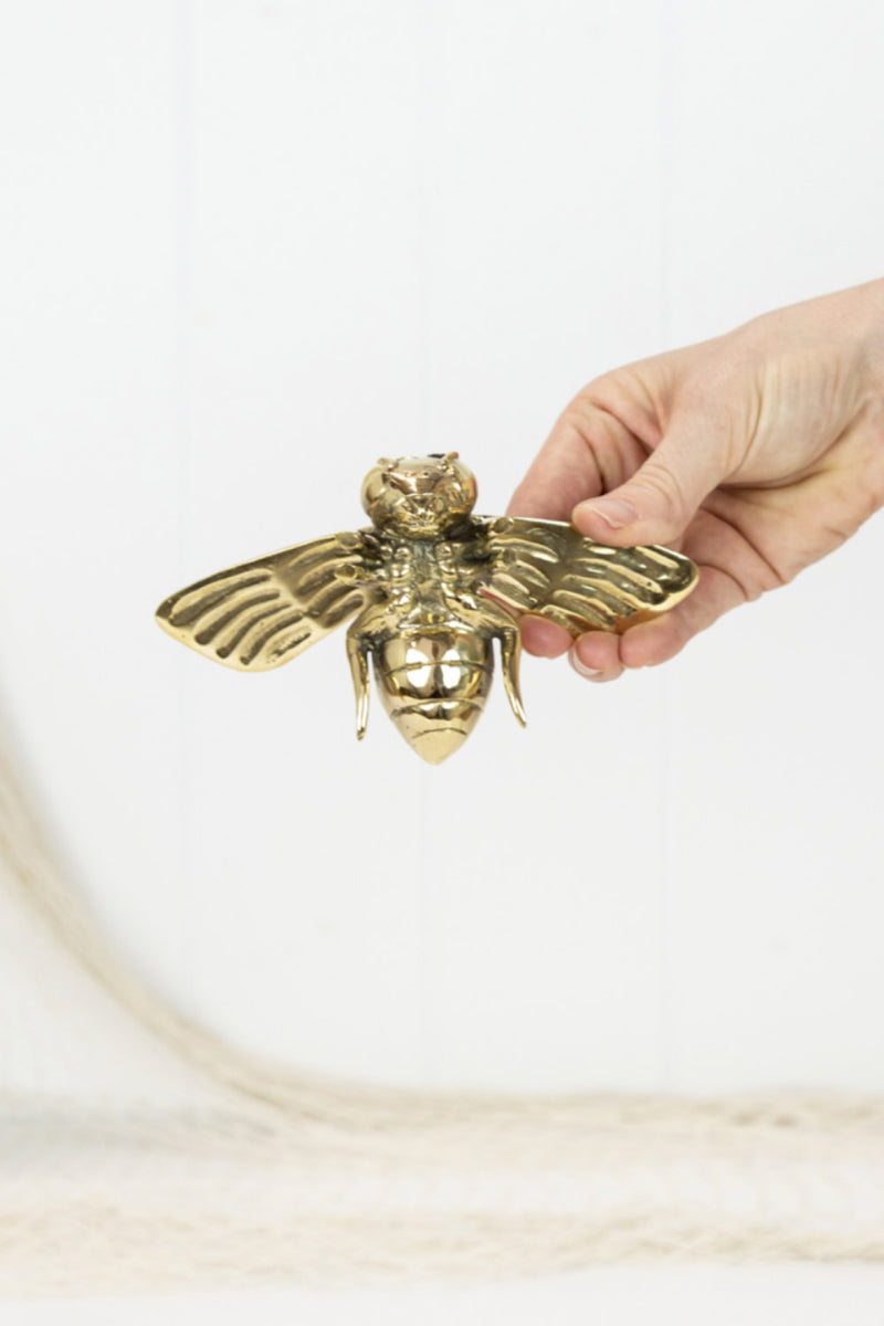 Bee Brass Medium (0164)