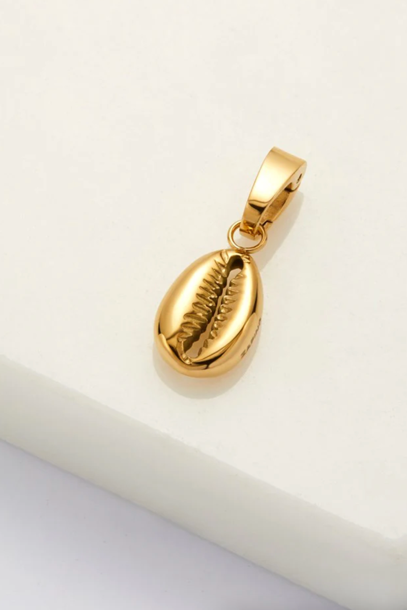 Charm - Cowrie Shell