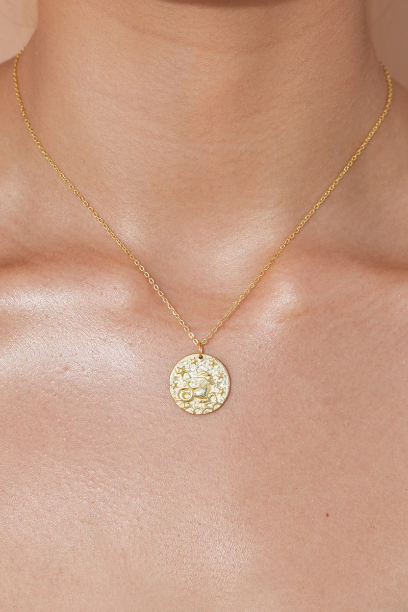 Star Sign Necklace - Capricorn