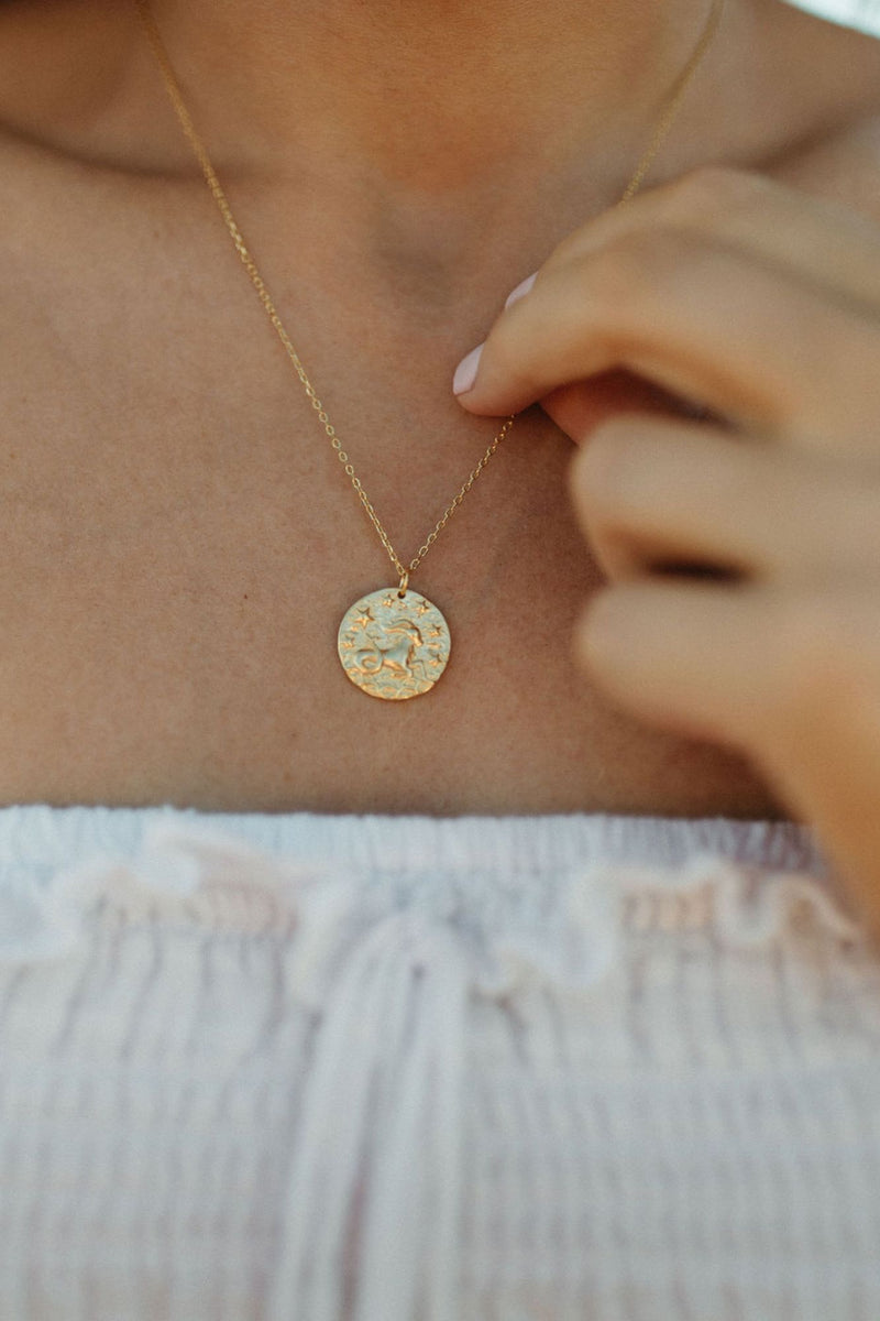 Star Sign Necklace - Capricorn