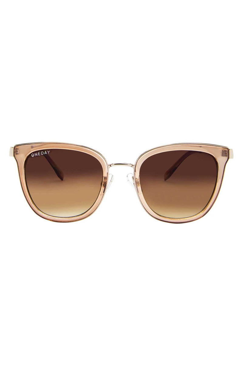 Jet Setter Sunglasses - Brown Brown